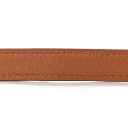 Hermes Swift 16mm Mini Dog Carres Bag Strap Gold 6 of 6