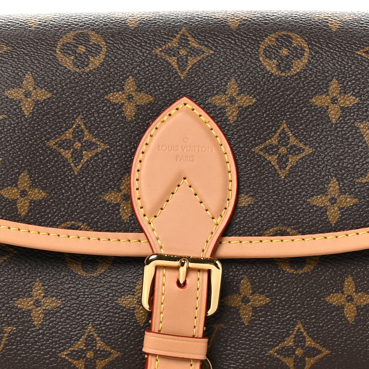 Louis Vuitton Monogram Diane 7 of 9