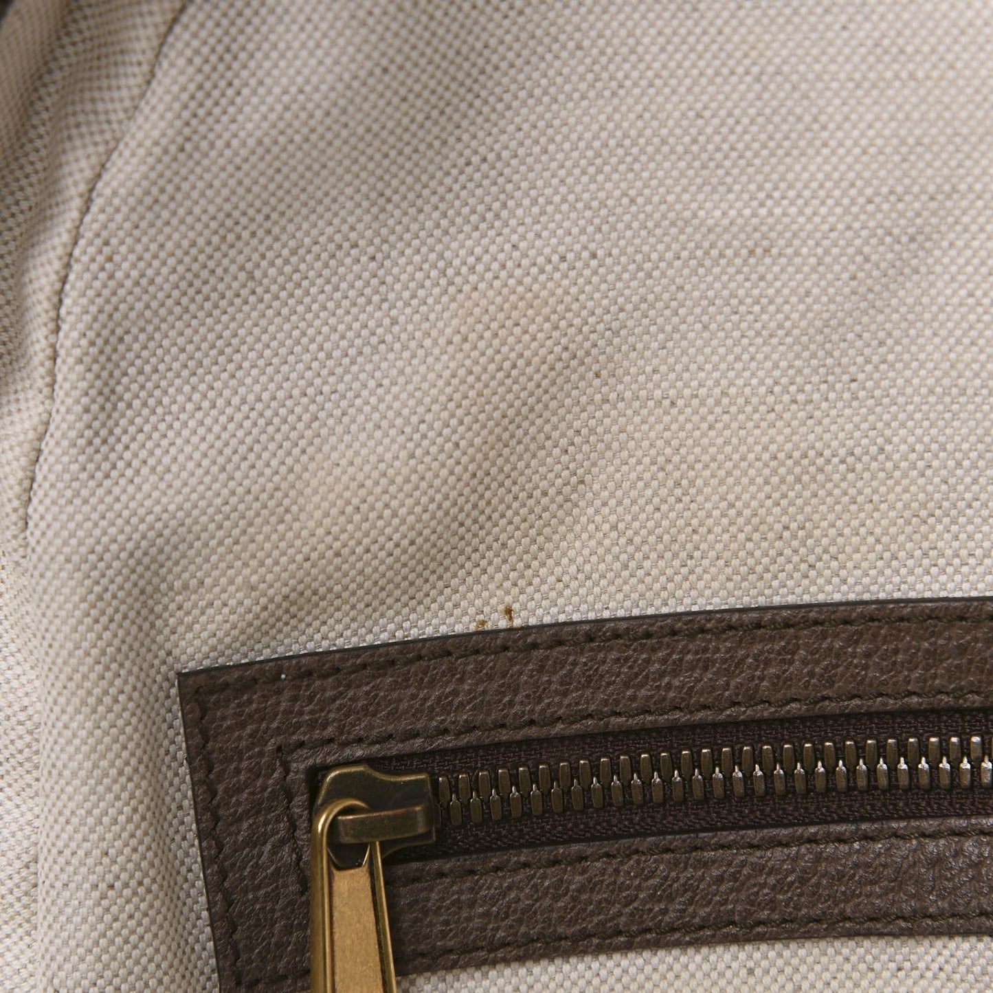 GG Supreme Monogram Medium Ophidia Day Backpack Brown