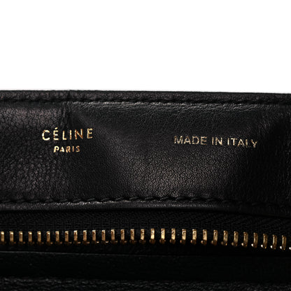 Celine Snakeskin Suede Medium Trapeze Blush 8 of 12