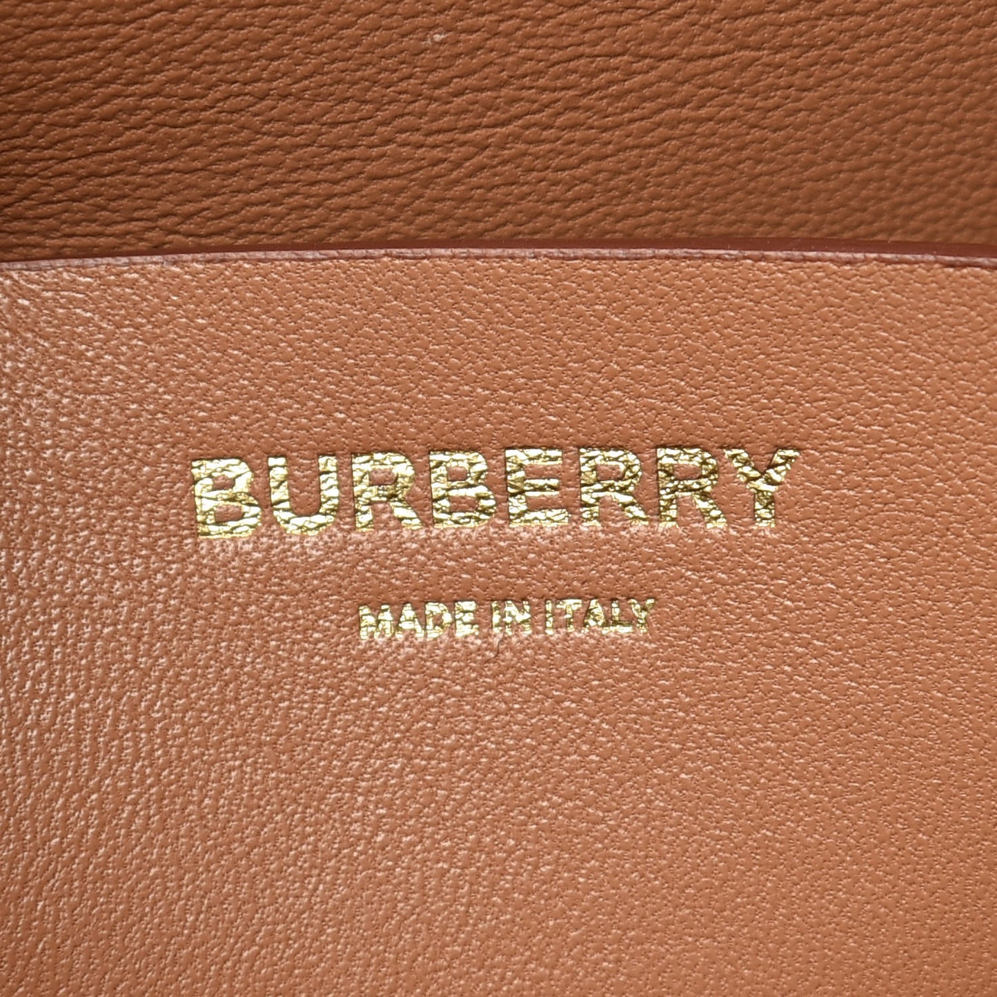 Calfskin Two Tone Large Grace Bag Nutmeg Pale Blue