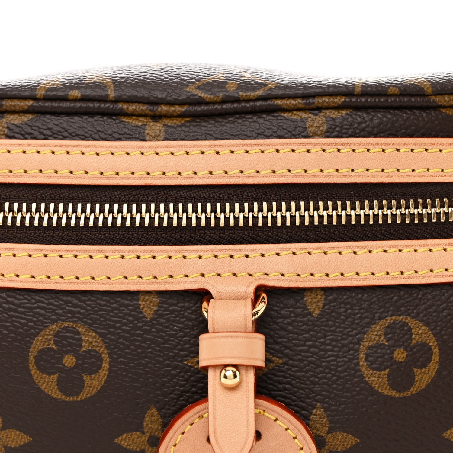 Louis Vuitton Monogram High Rise Bumbag 7 of 10