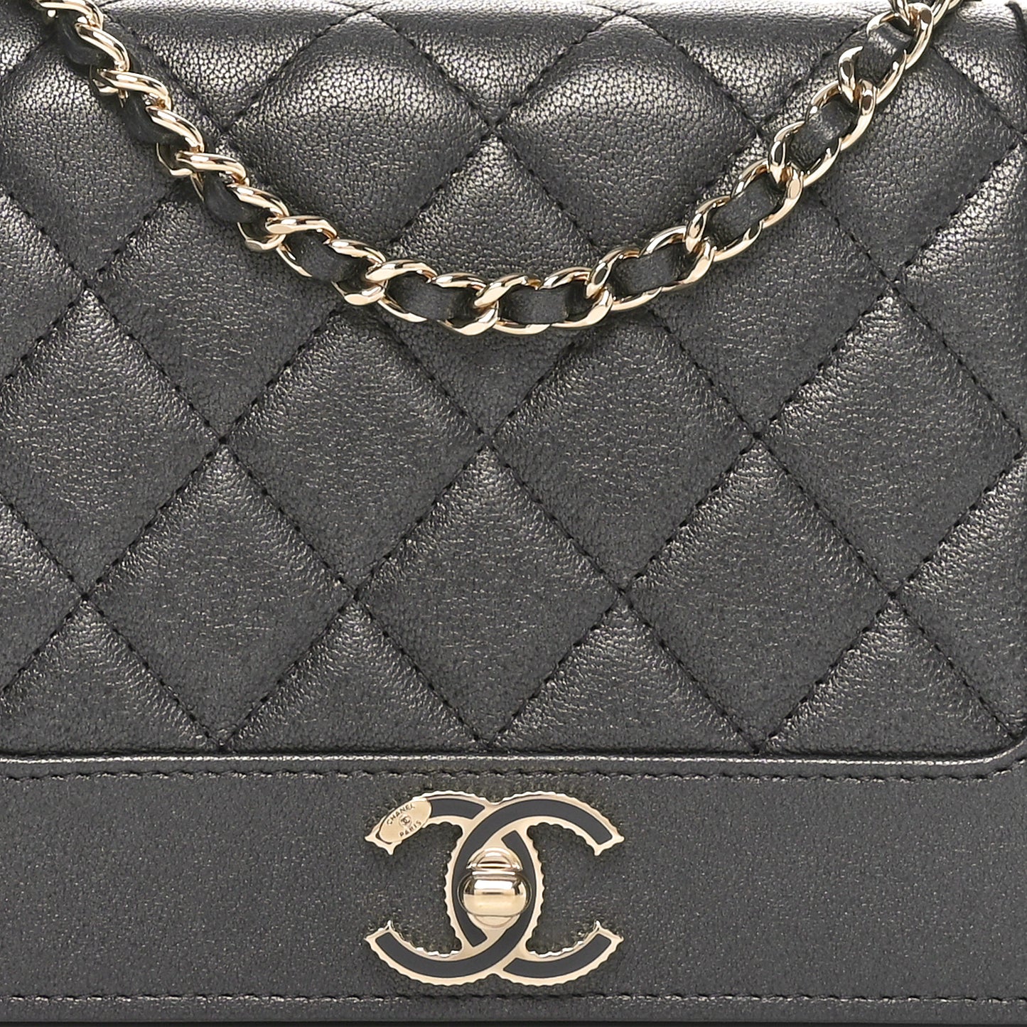 Sheepskin Quilted Mademoiselle Vintage Wallet On Chain WOC Ruthenium