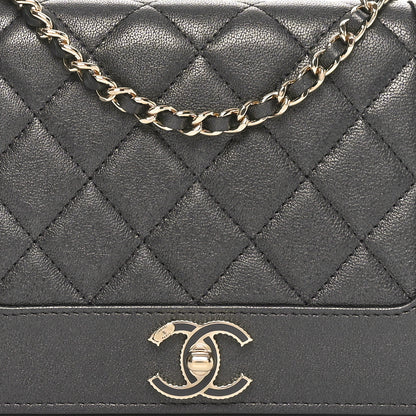 Chanel Sheepskin Quilted Mademoiselle Vintage Wallet On Chain WOC Ruthenium 9 of 12