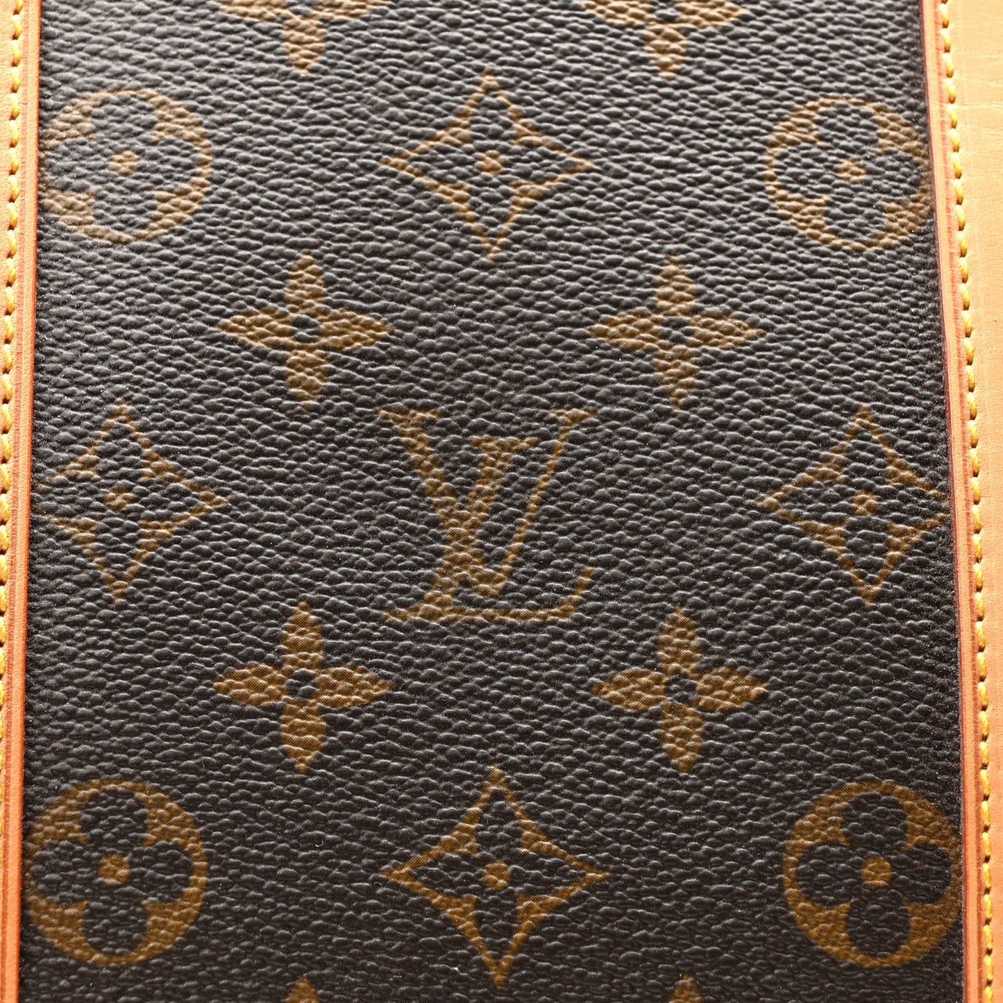 Monogram Sofia Coppola Speedy