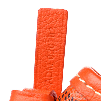 Goyard Goyardine Saint Louis PM Orange 8 of 12