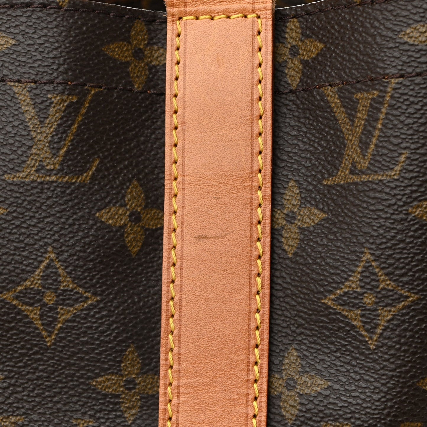 Monogram Randonnee GM Backpack