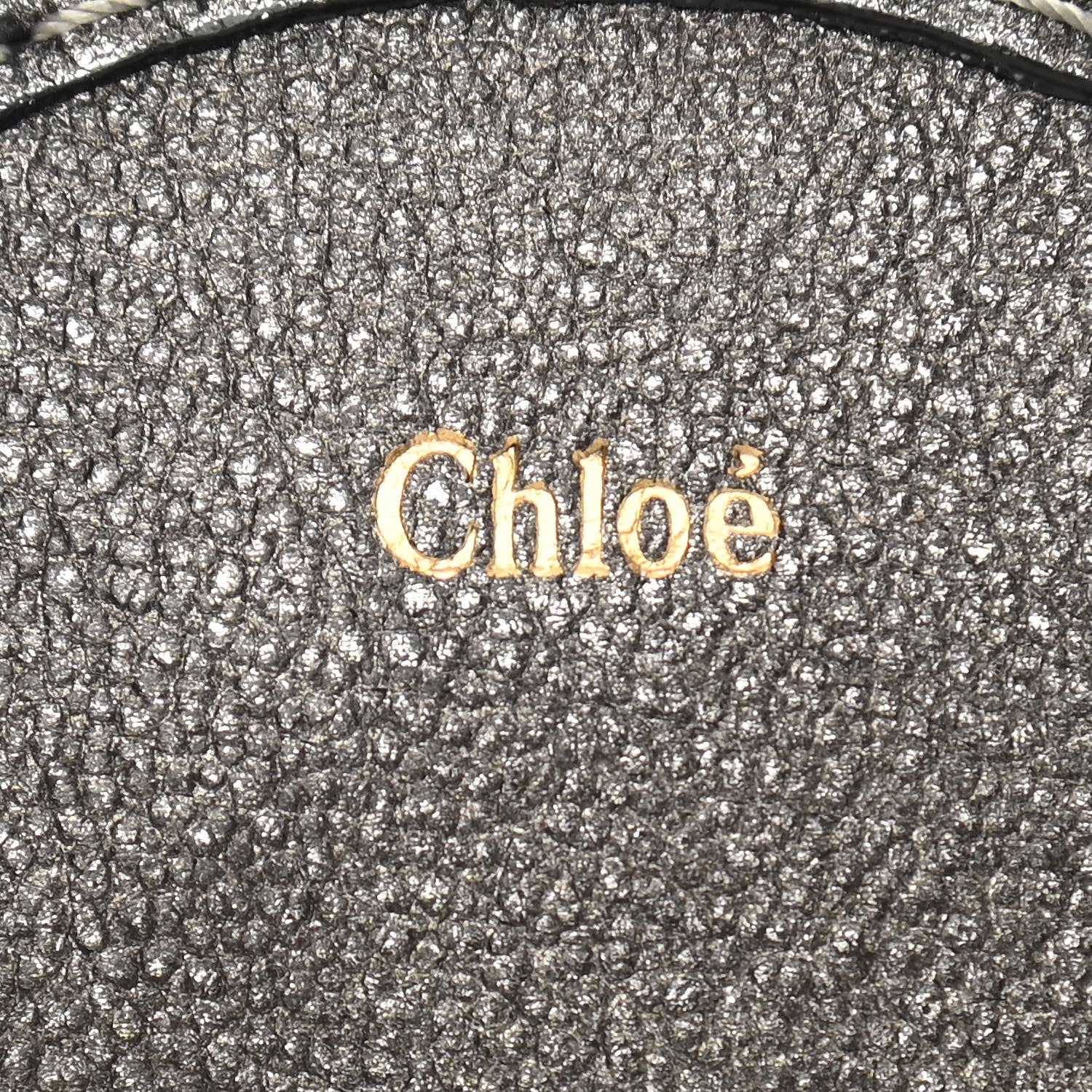 Chloe Metallic Calfskin Kerala Bag Canon 6 of 11