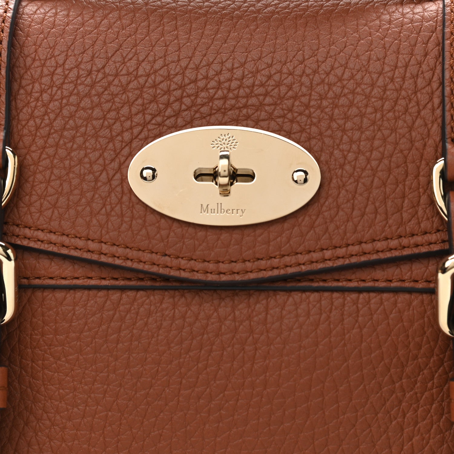 Mulberry Heavy Grain Mini Alexa Chestnut 8 of 12