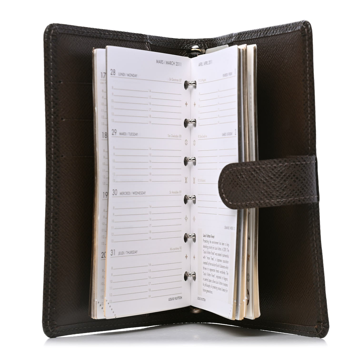 Louis Vuitton Taiga Small Ring Agenda Cover Grizzli 4 of 4
