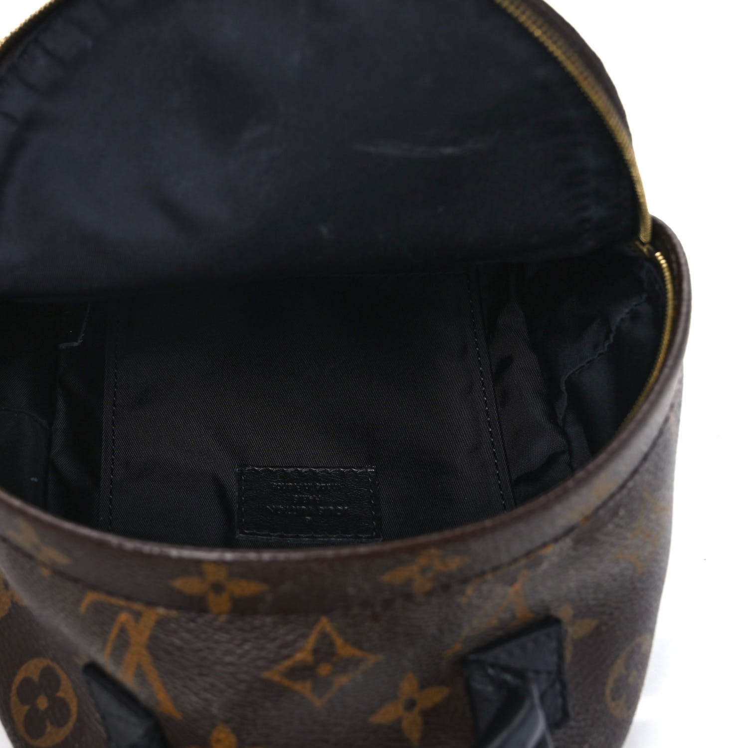 Louis Vuitton Monogram Palm Springs Backpack Mini 5 of 12