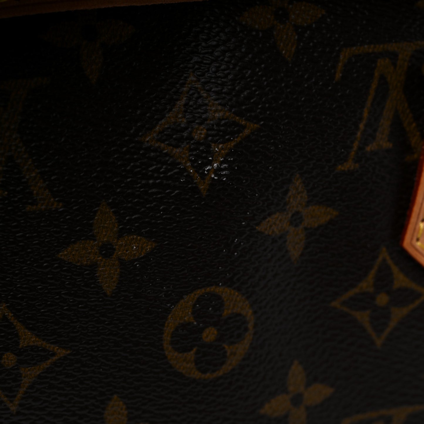 Monogram Garment Bag
