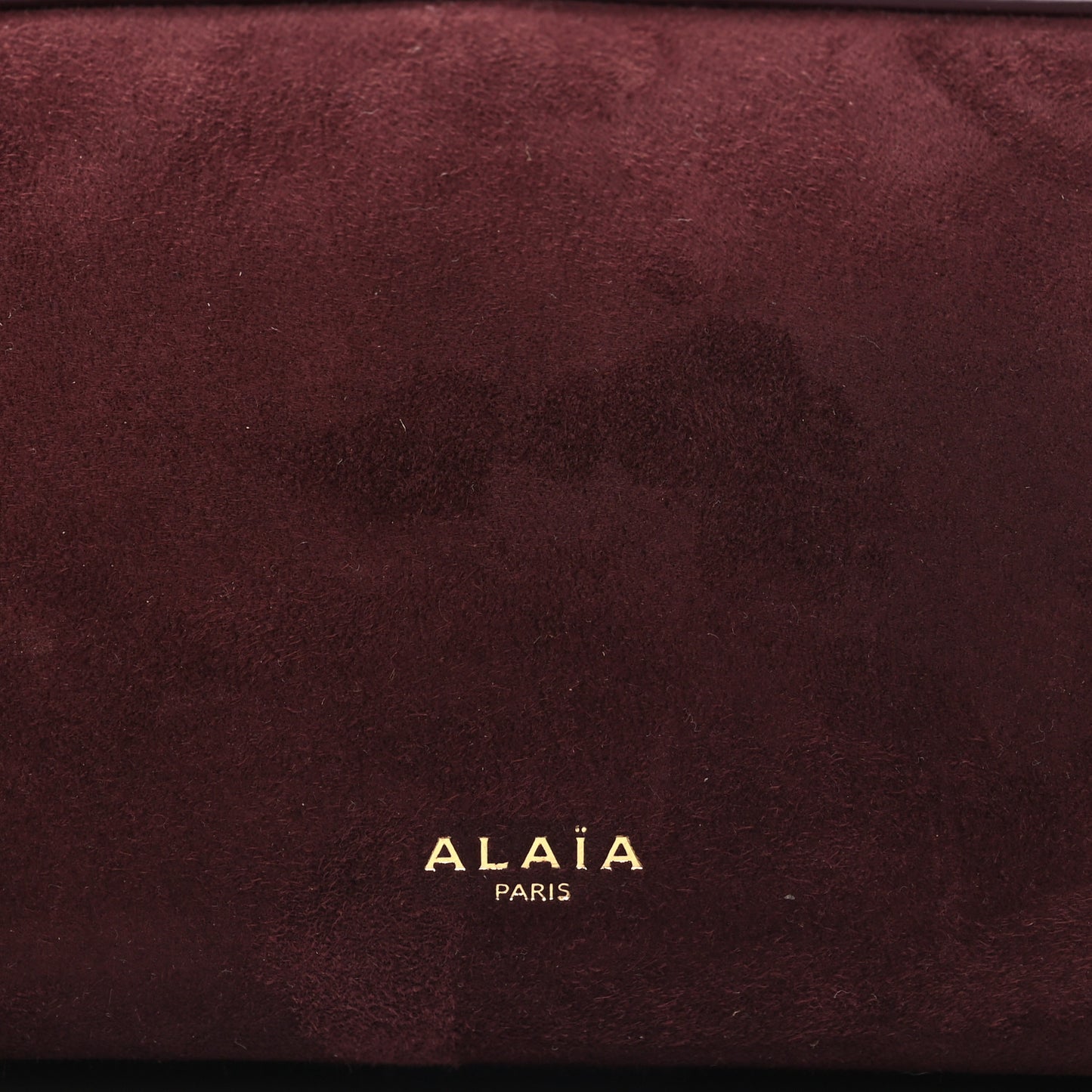Suede Goatskin Medium Le Teckel Bag Rouge Grenat