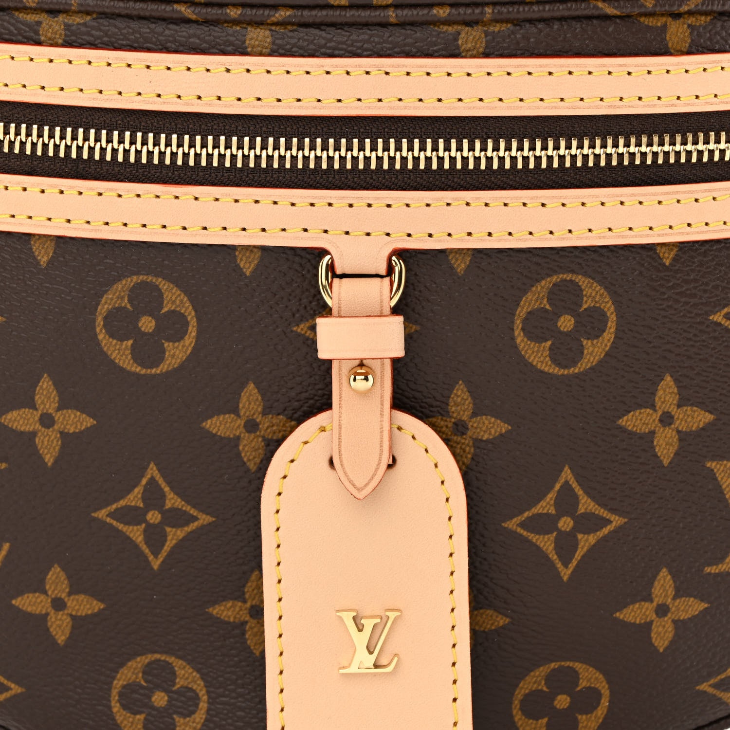 Louis Vuitton Monogram High Rise Bumbag 7 of 10