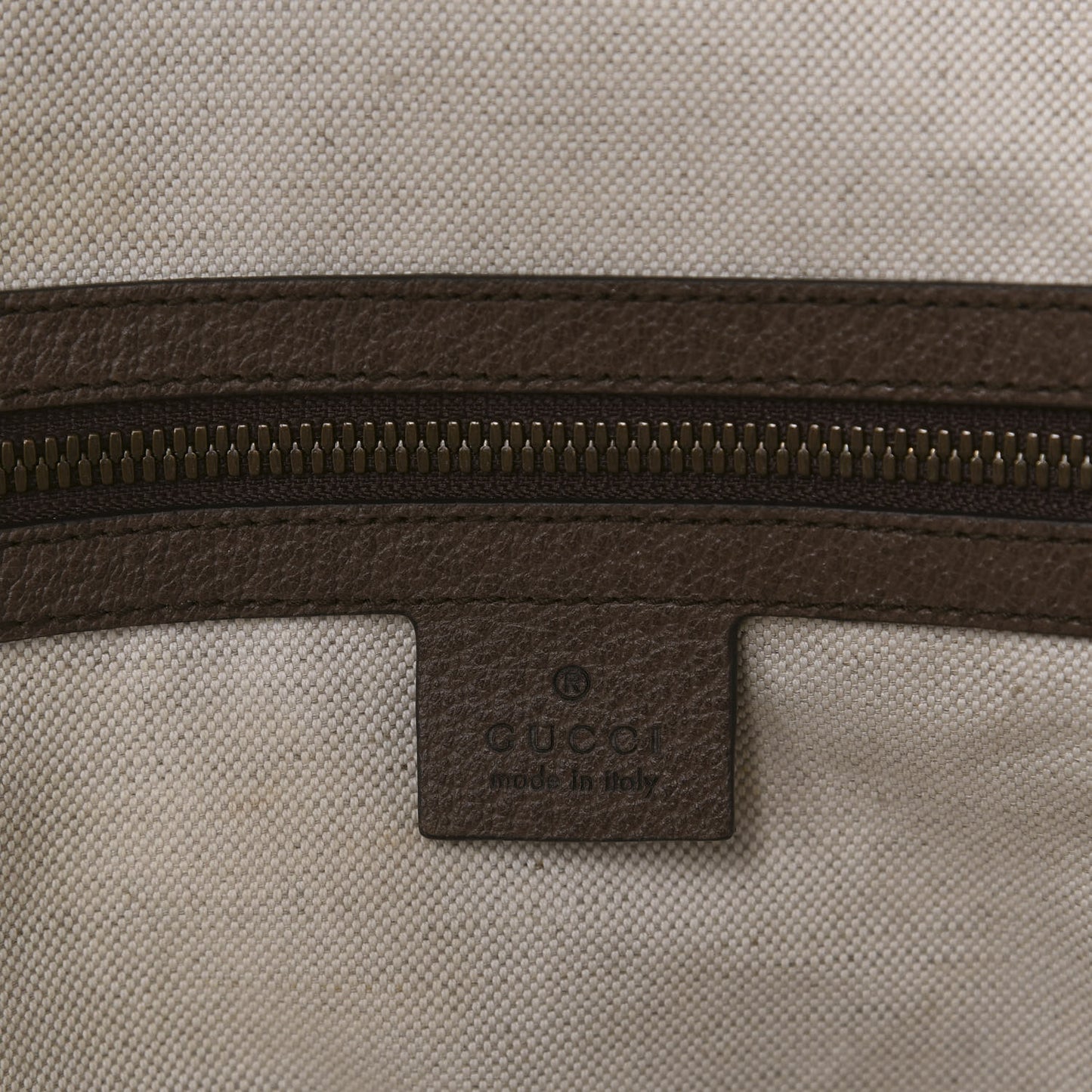 GG Supreme Monogram Medium Ophidia Day Backpack Brown