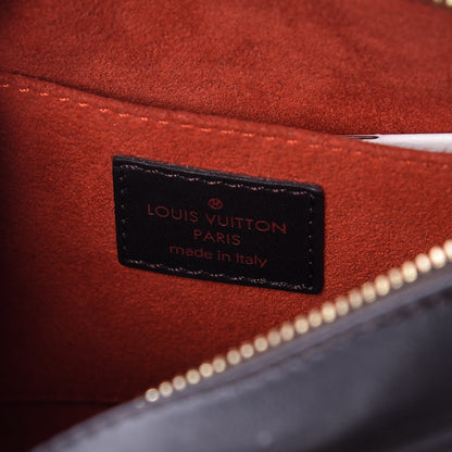 Louis Vuitton Calf Hair Damier Sauvage Tigre 6 of 8