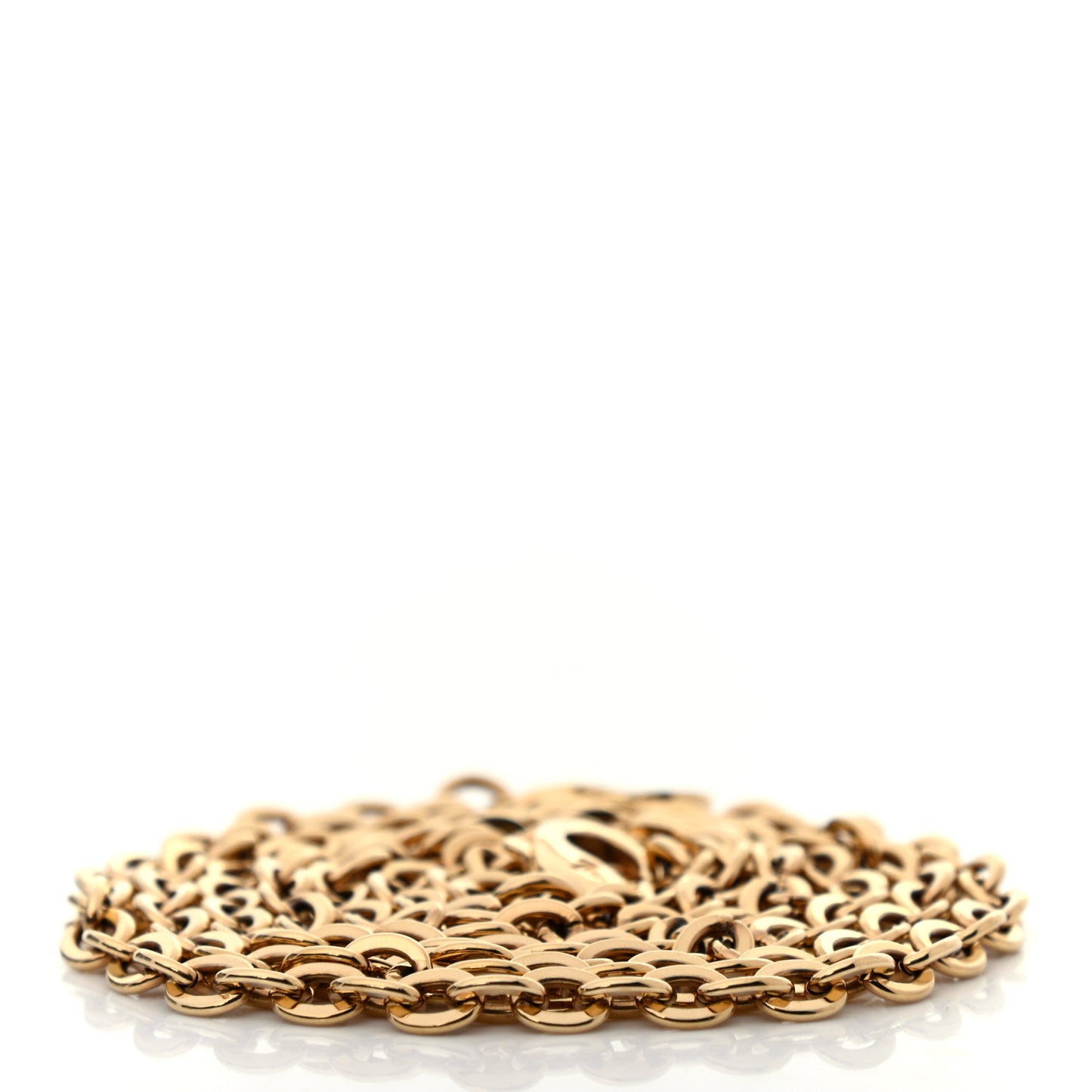 Felicie Chain Long Shoulder Strap