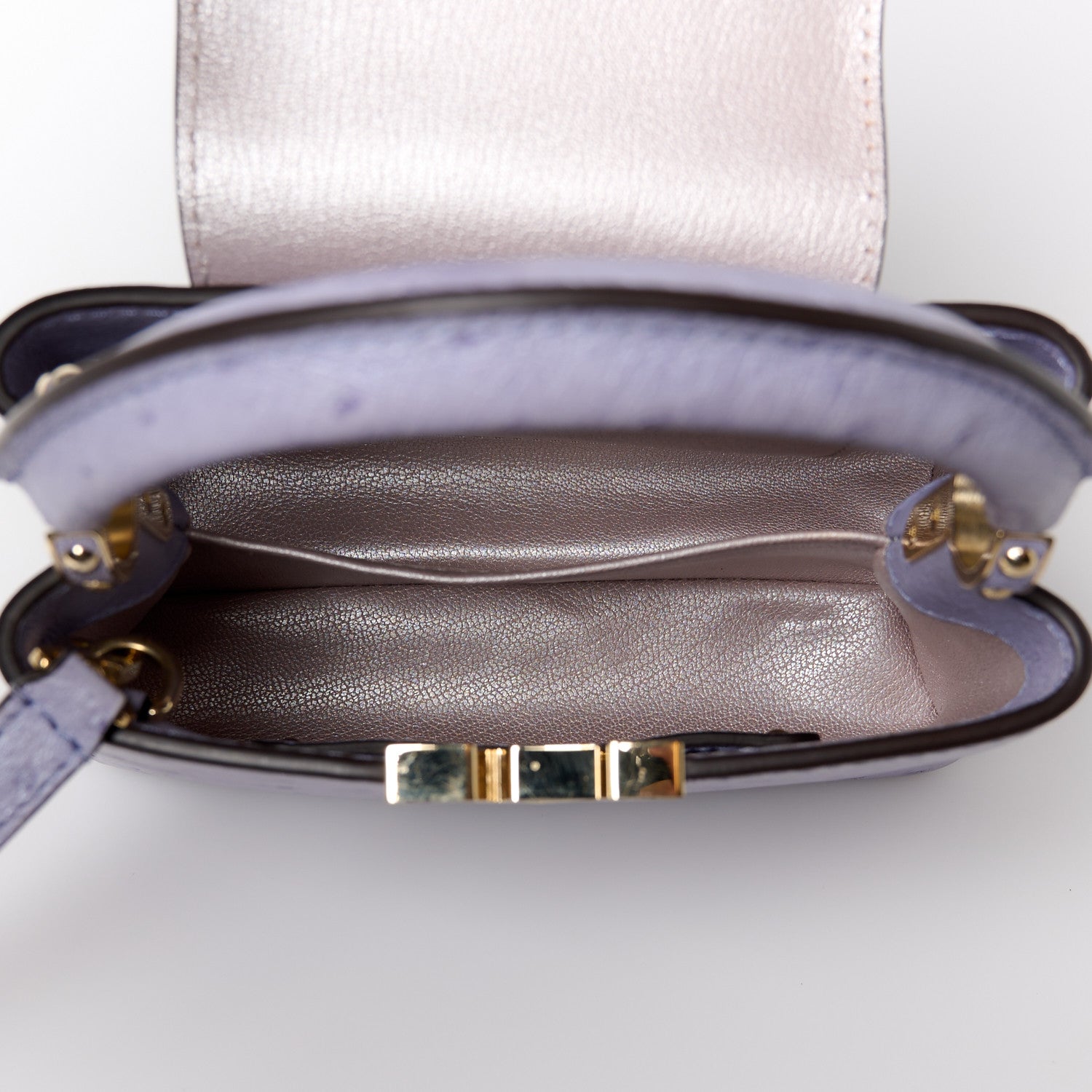 Louis Vuitton Ostrich Capucines Mini Grey 5 of 11