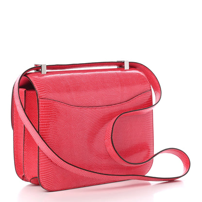 Hermes Niloticus Lizard Constance 24 Rose Extreme 2 of 9
