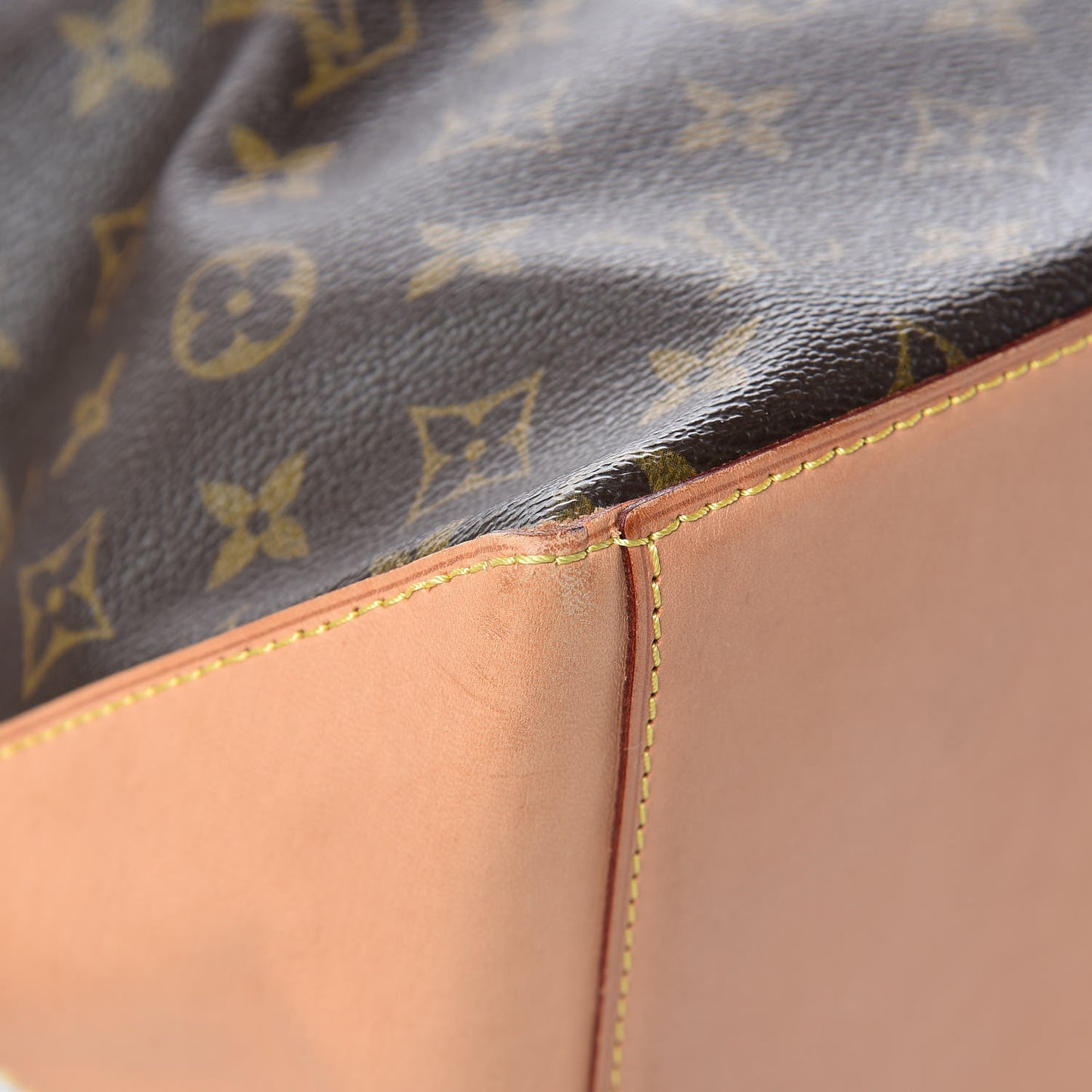 Monogram Cabas Mezzo