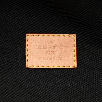Louis Vuitton LOUIS VUITTON Monogram Bumbag 6 of 16