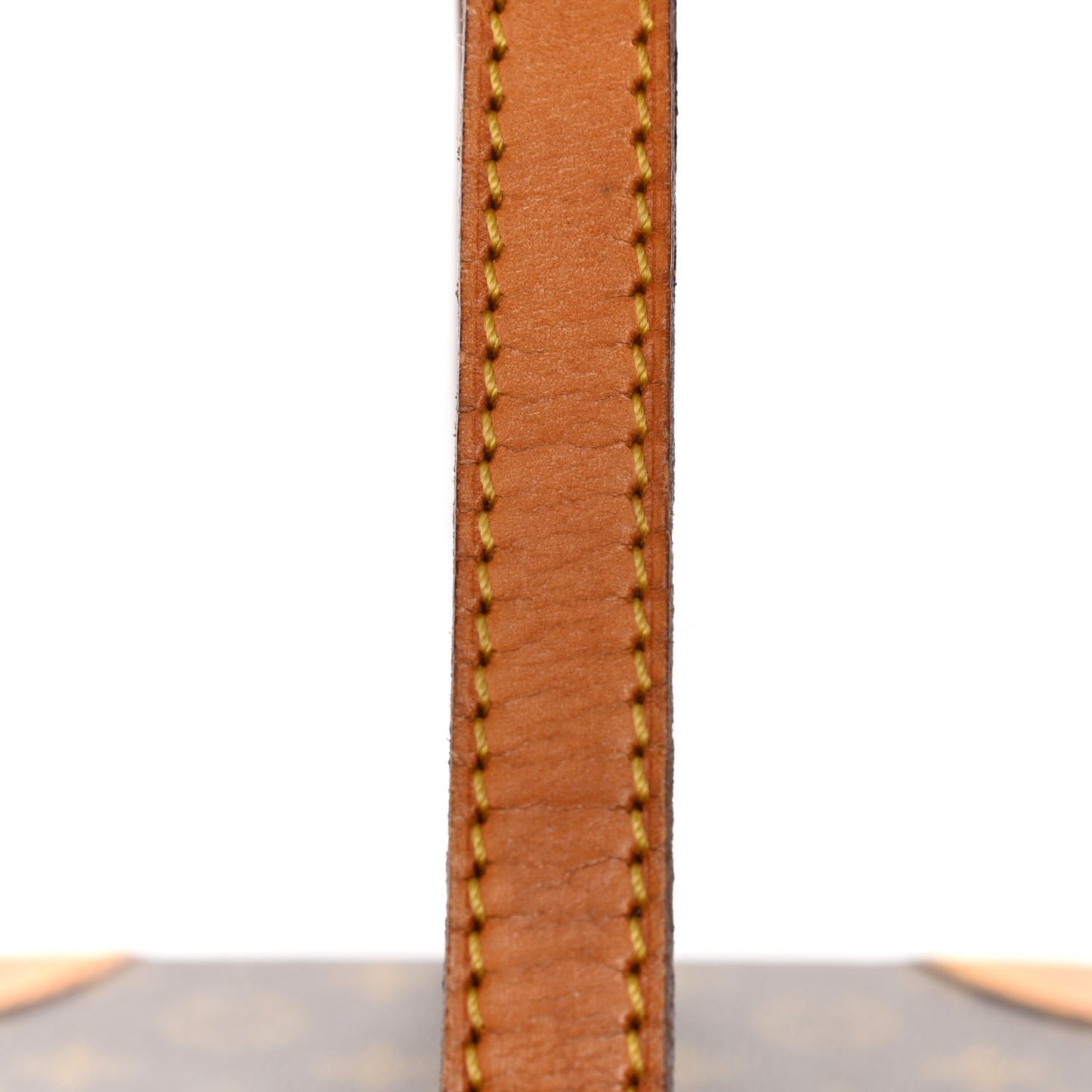 Monogram Train Case
