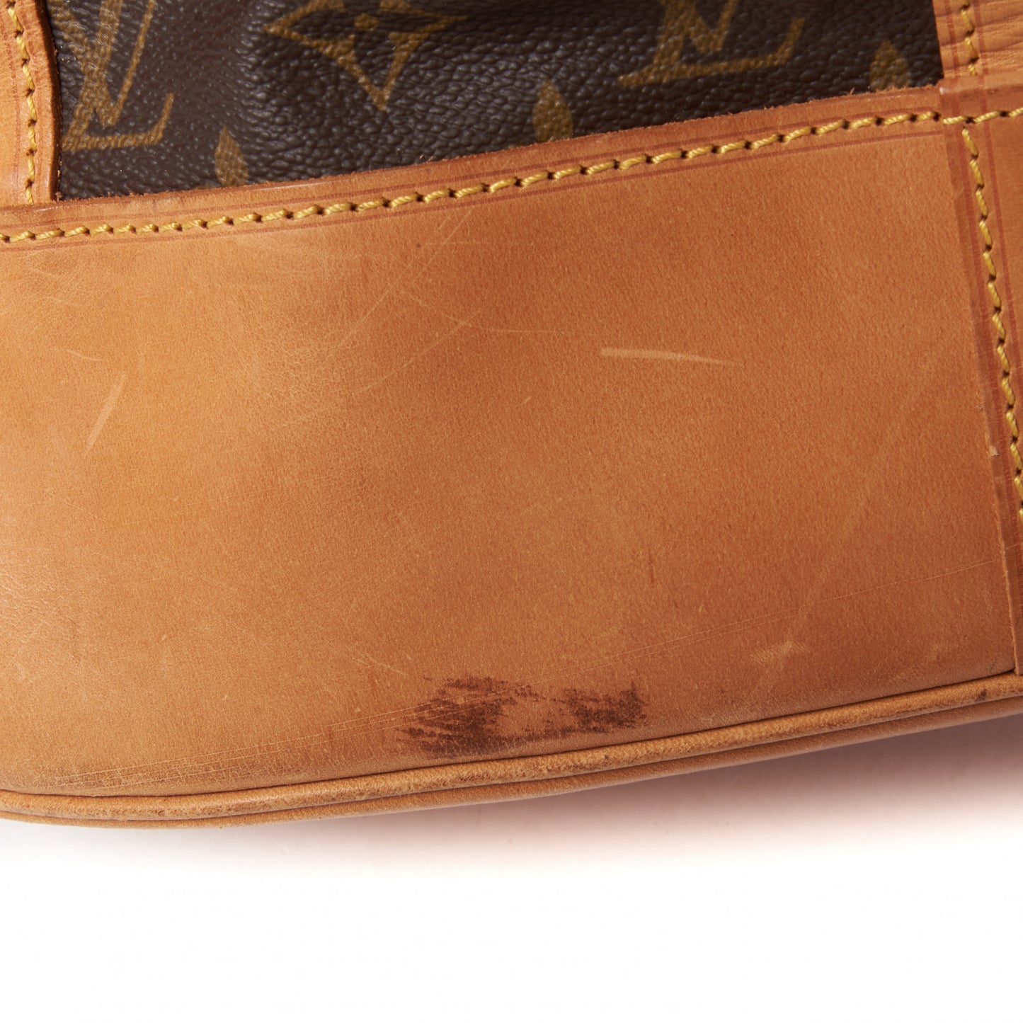 Monogram Randonnee GM Backpack