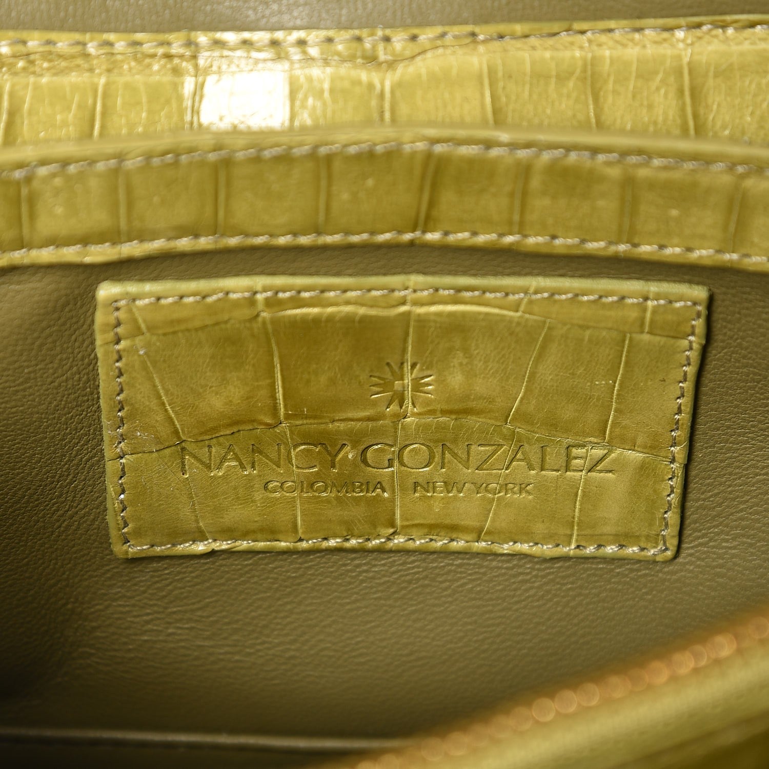 Nancy Gonzalez Crocodile Amour Clutch Green 8 of 9