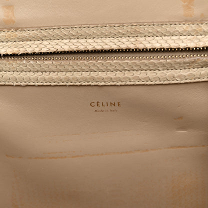 Celine Snakeskin Medium Phantom Luggage Grey 6 of 15