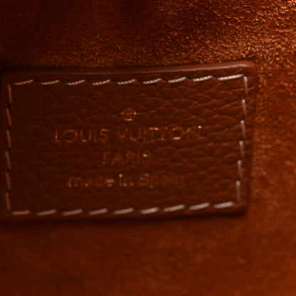 Louis Vuitton Grained Calfskin Low Key Hobo PM Cognac 6 of 12