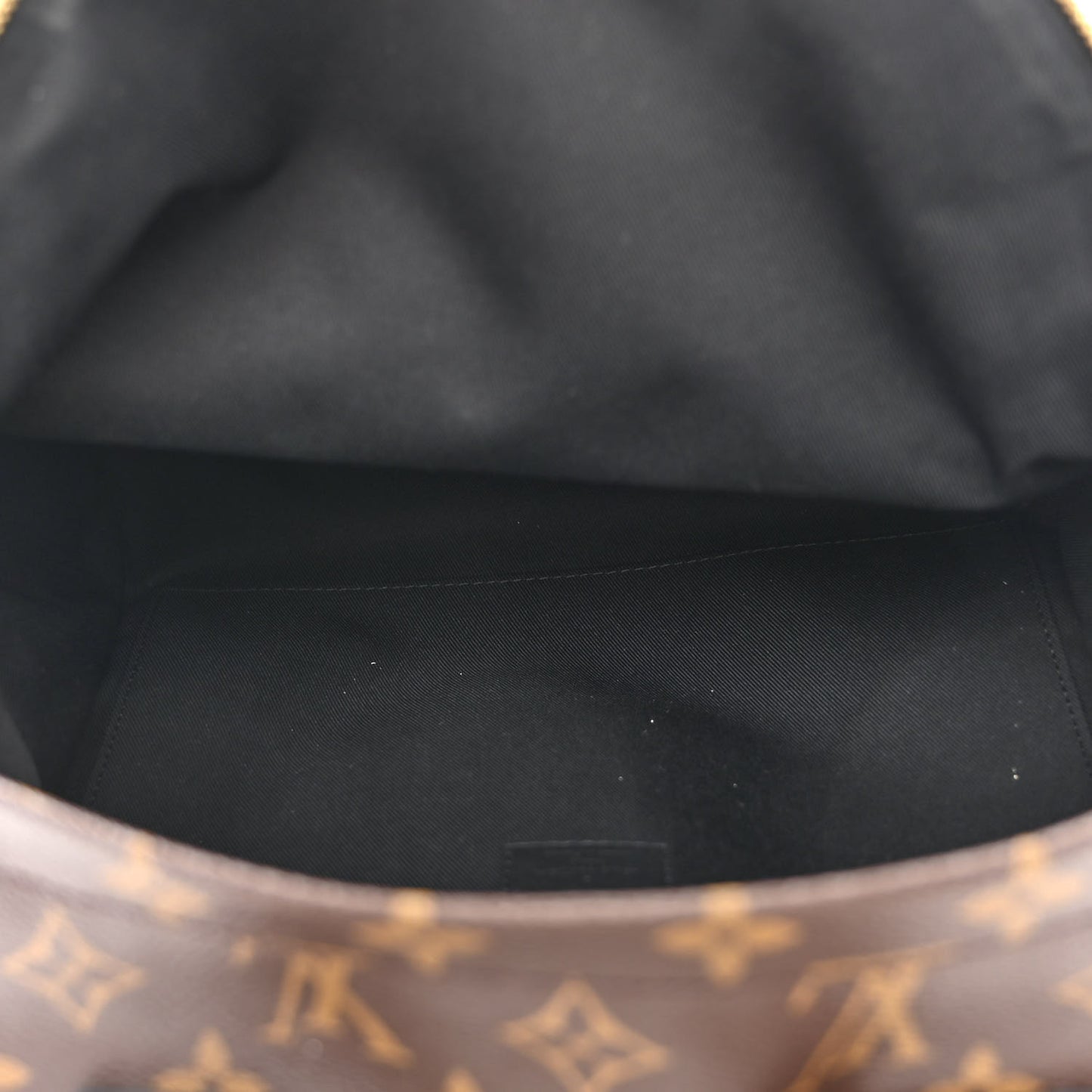 Monogram Palm Springs Backpack MM