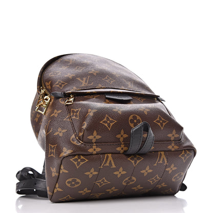 Louis Vuitton Monogram Palm Springs Backpack PM 4 of 10