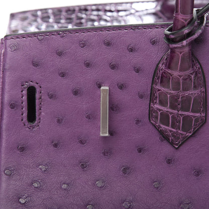 Hermes Ostrich Shiny Alligator Birkin Touch 30 Violine 25 of 34