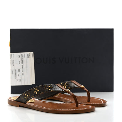 Louis Vuitton Monogram Sunny Flat Thong Sandals 36 Brown 10 of 10