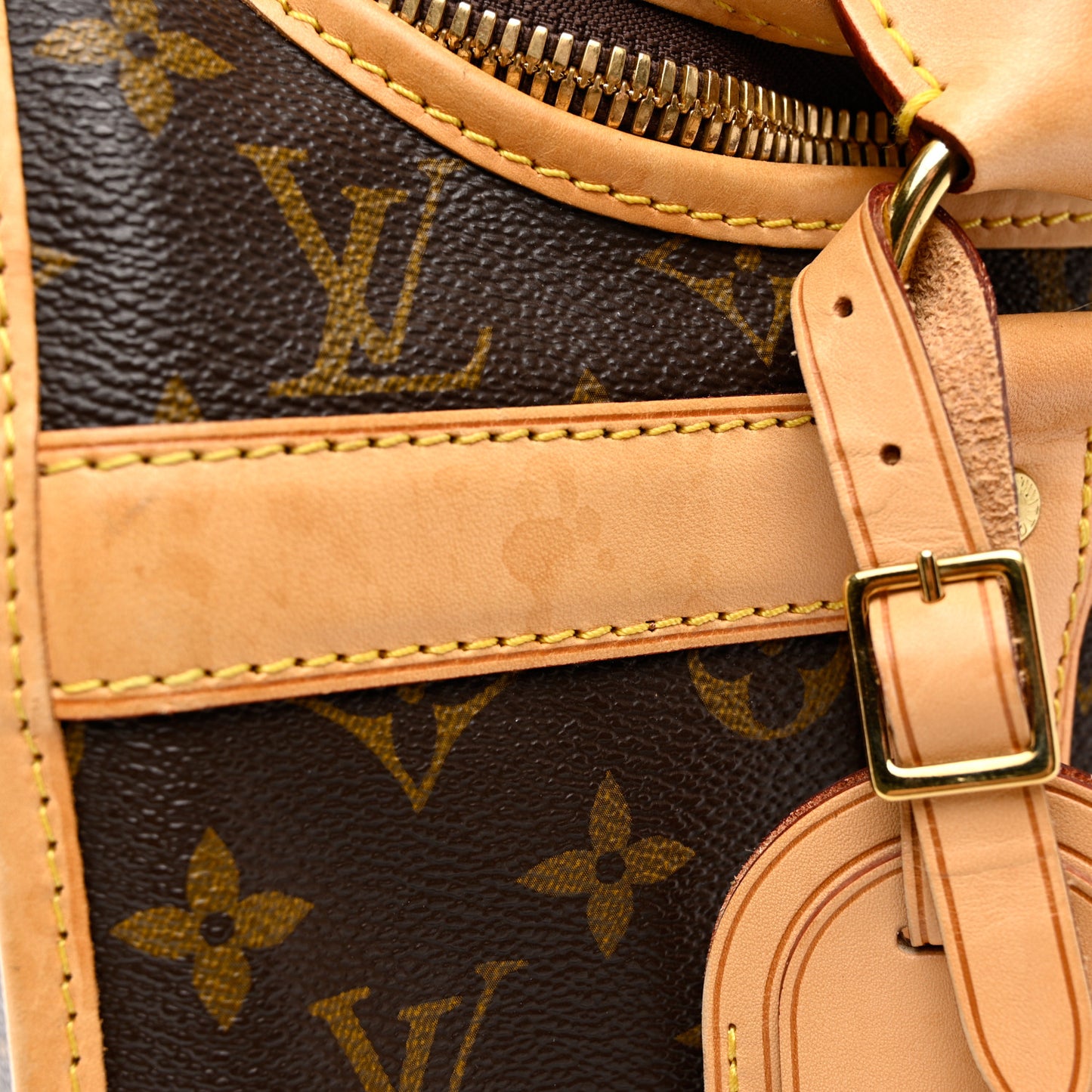 Monogram Sac Chien 40 Pet Carrier