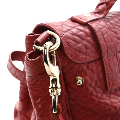 Mulberry Shrunken Calfskin Medium Alexa Red 7 of 16