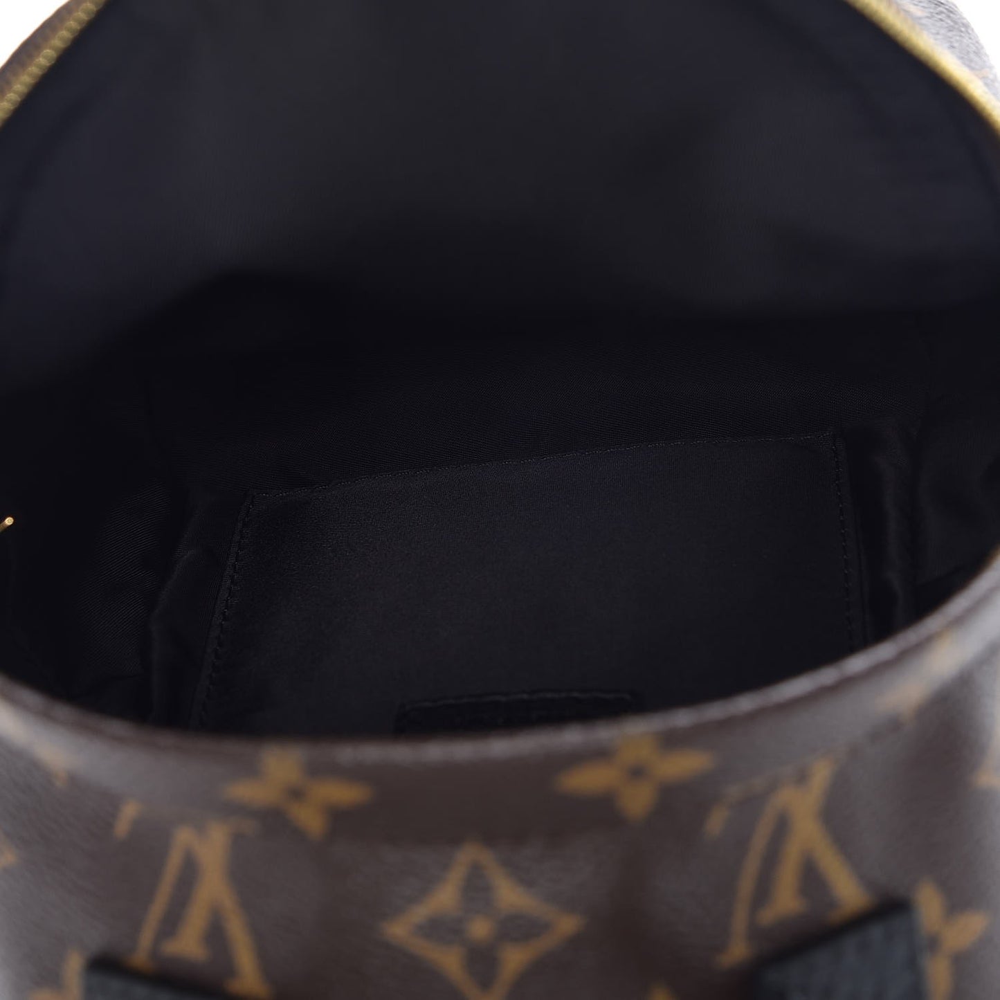Monogram Palm Springs Backpack Mini
