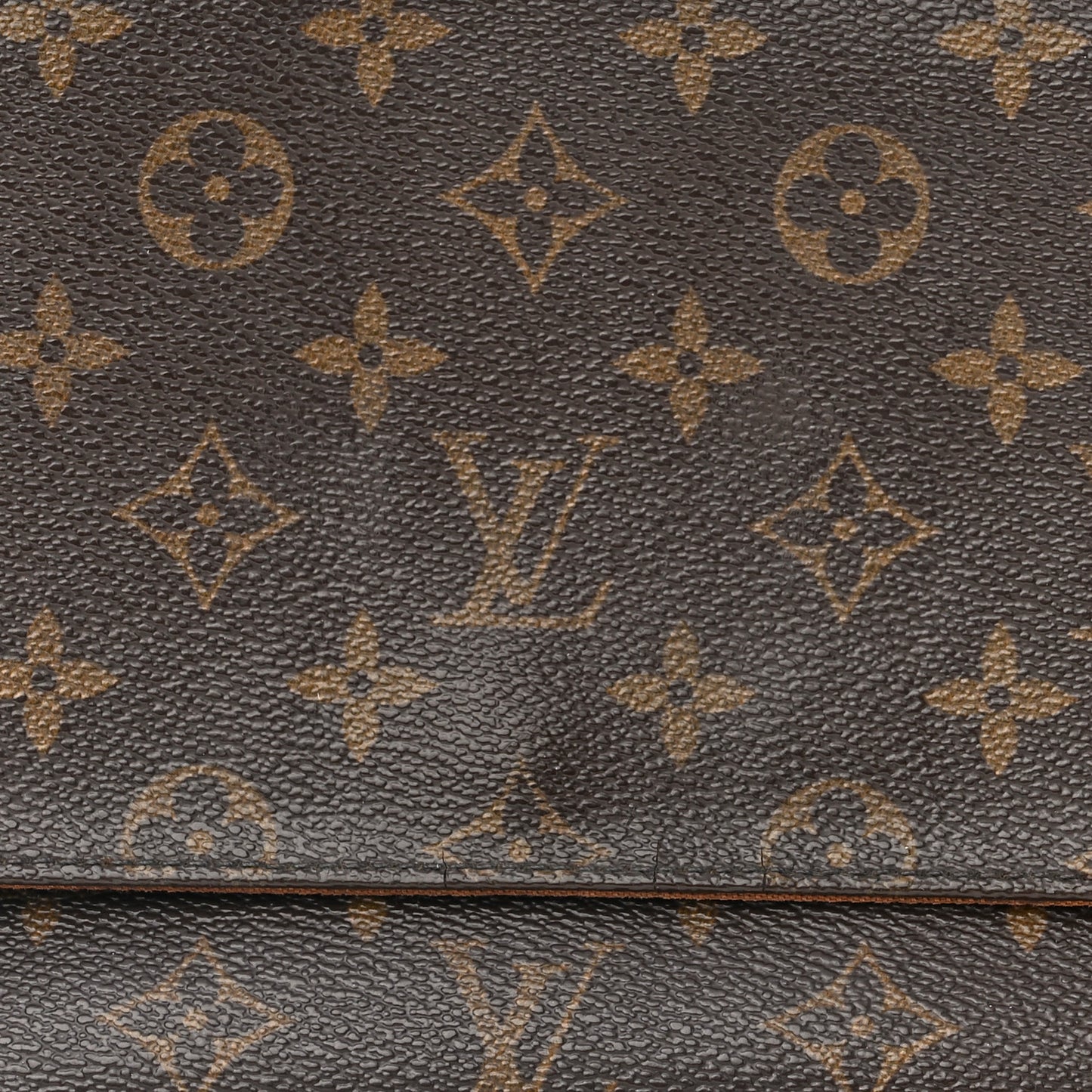 Monogram Mini Looping