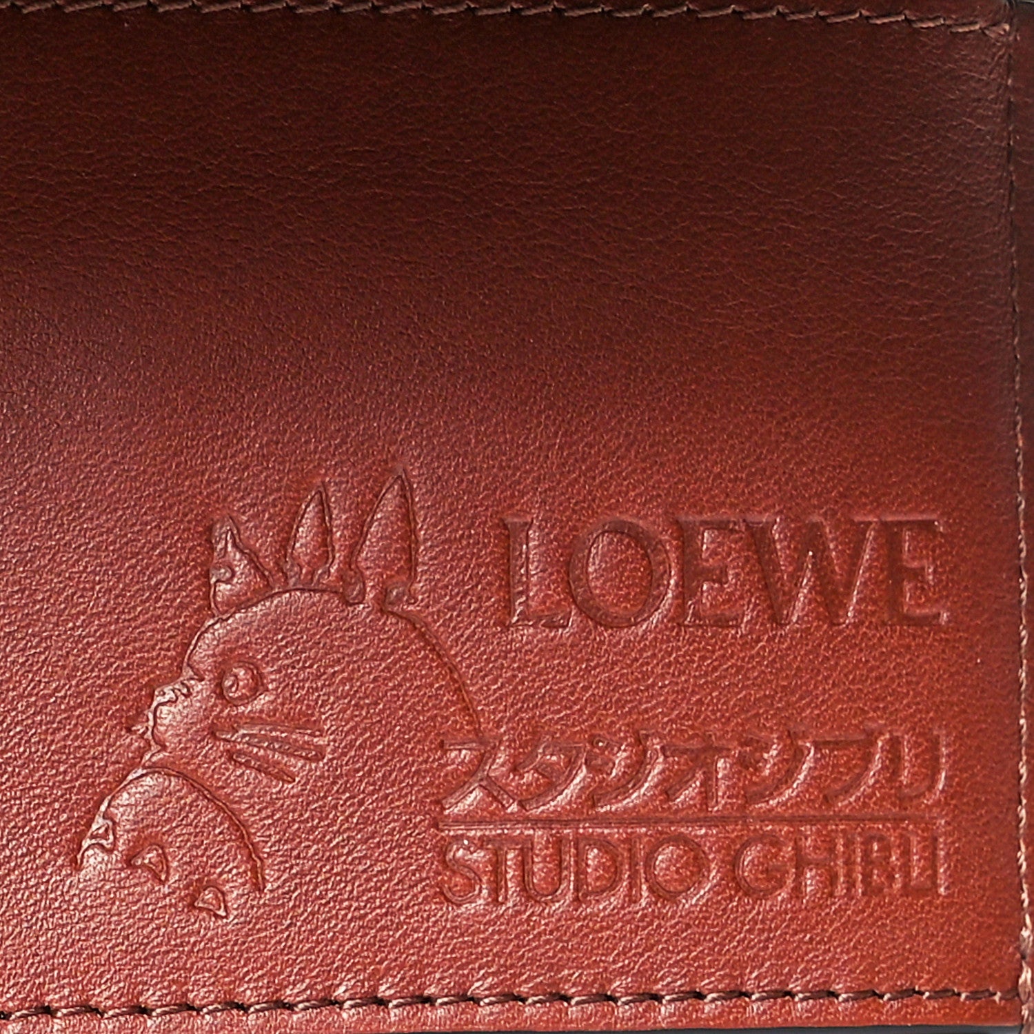 Loewe X SPIRITED AWAY Calfskin Aogaeru Small Vertical Wallet Bouganville 8 of 9