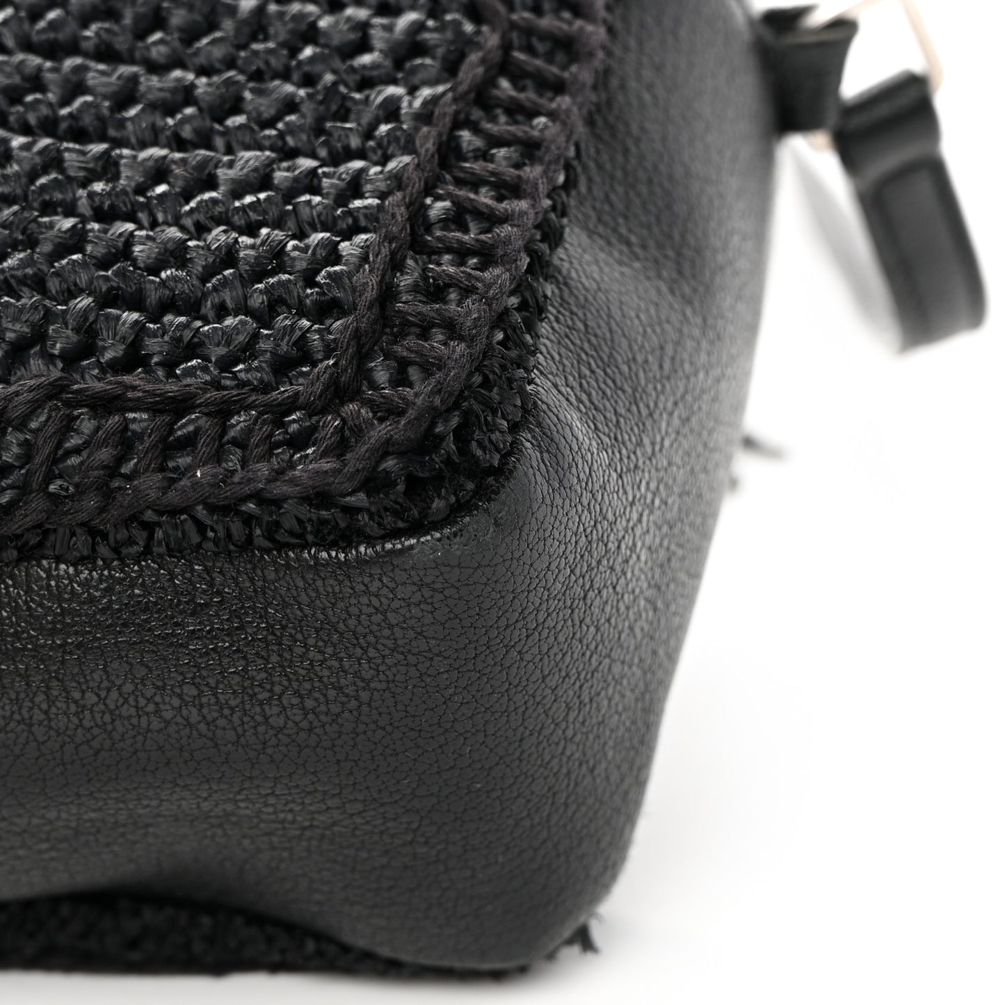 Raffia Canvas Monogram Lou Camera Bag Black