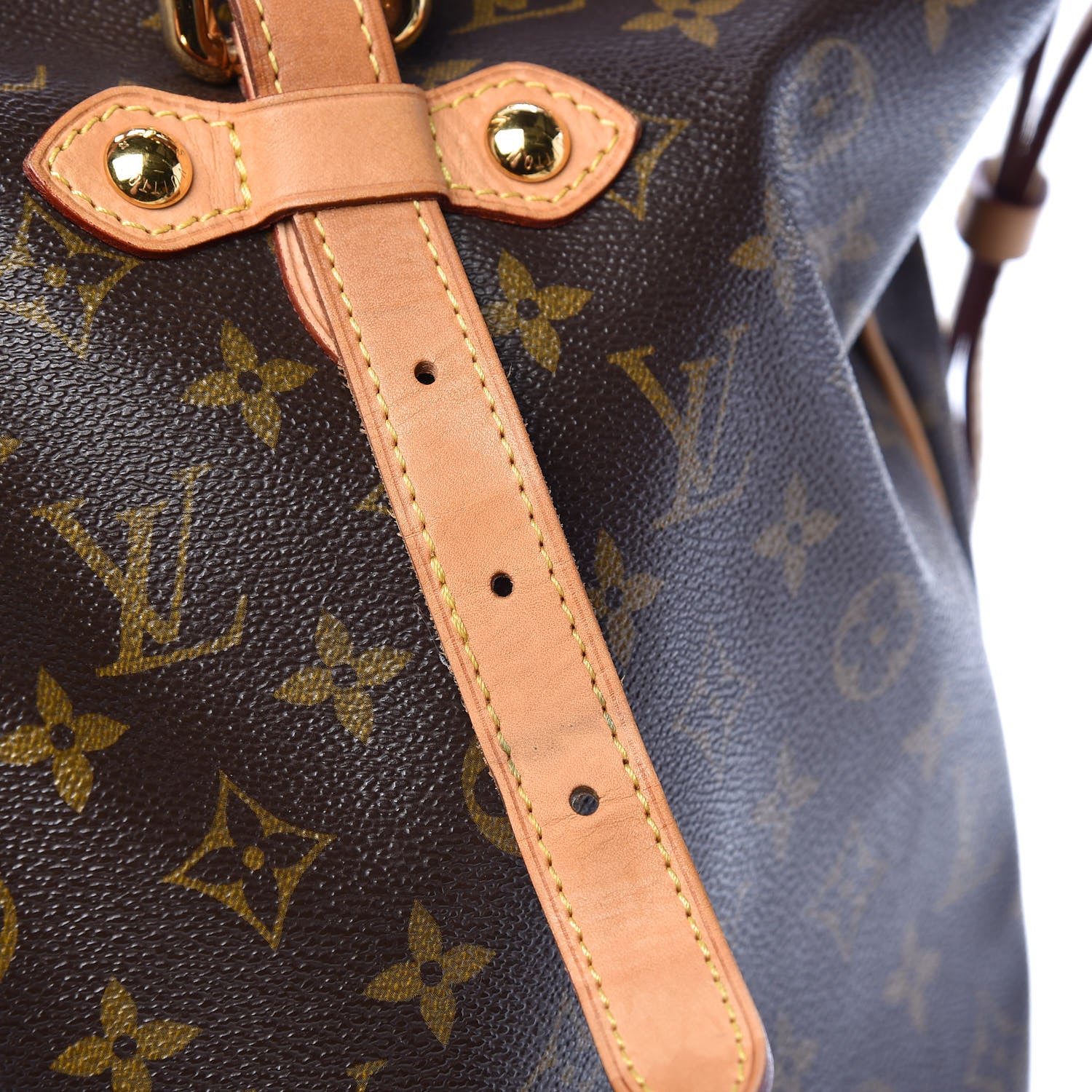Louis Vuitton Monogram Palermo GM 18 of 20