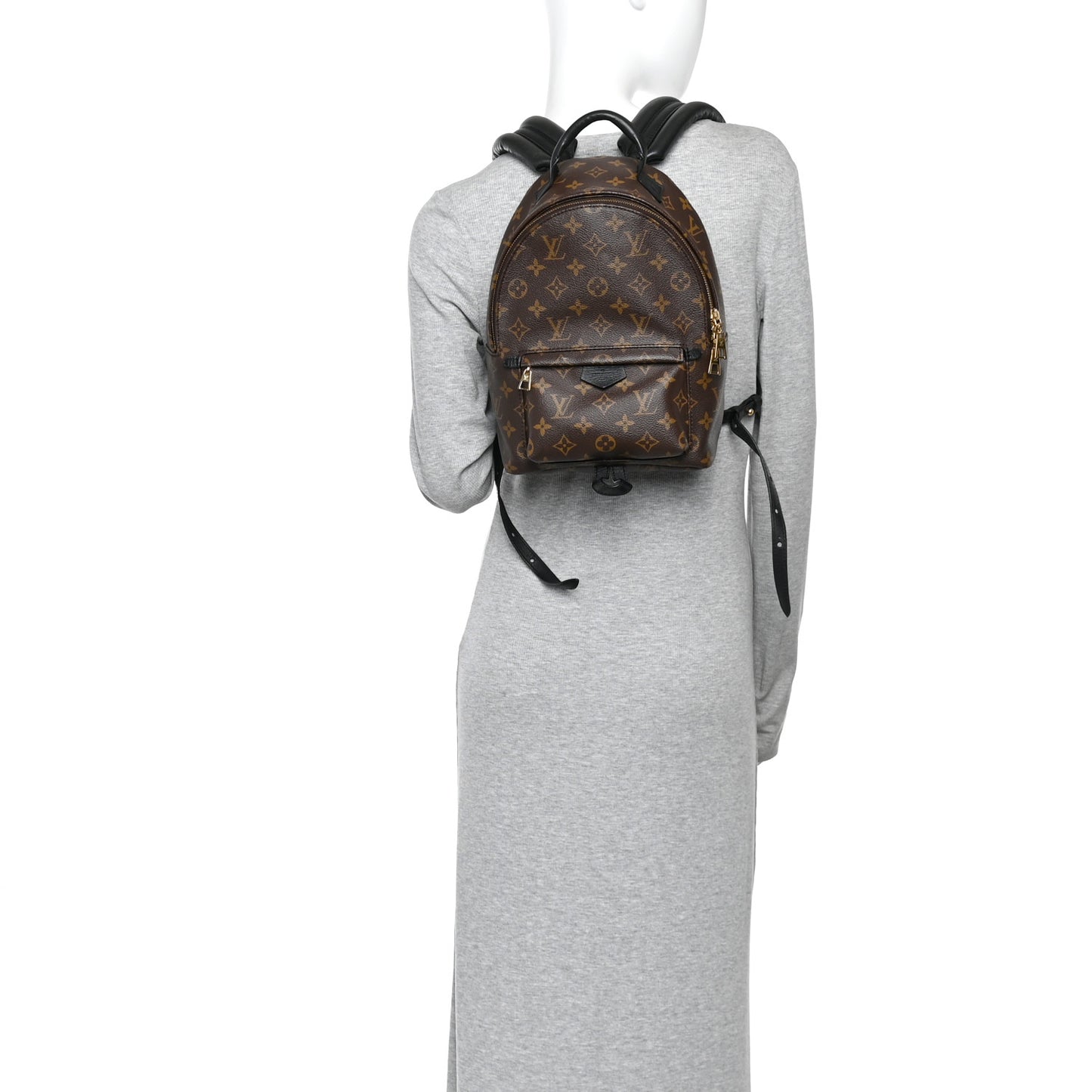 Monogram Palm Springs Backpack PM