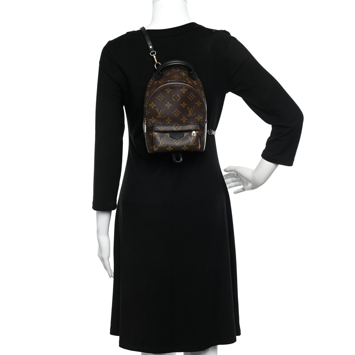 Monogram Palm Springs Backpack Mini