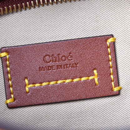 Chloe Calfskin Raffia Embroidered Small Darryl Crossbody Brown 6 of 9
