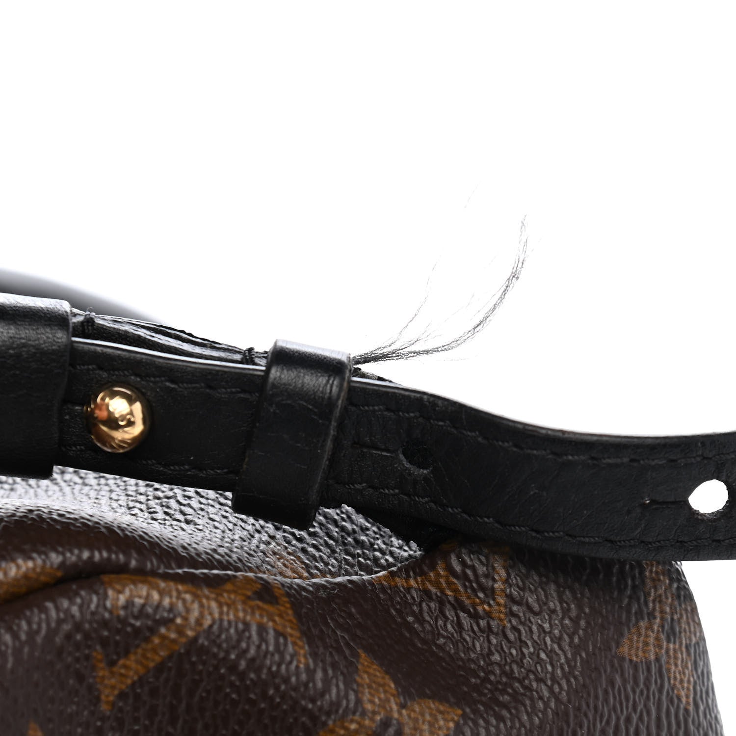 Louis Vuitton Monogram Palm Springs Backpack PM 10 of 10