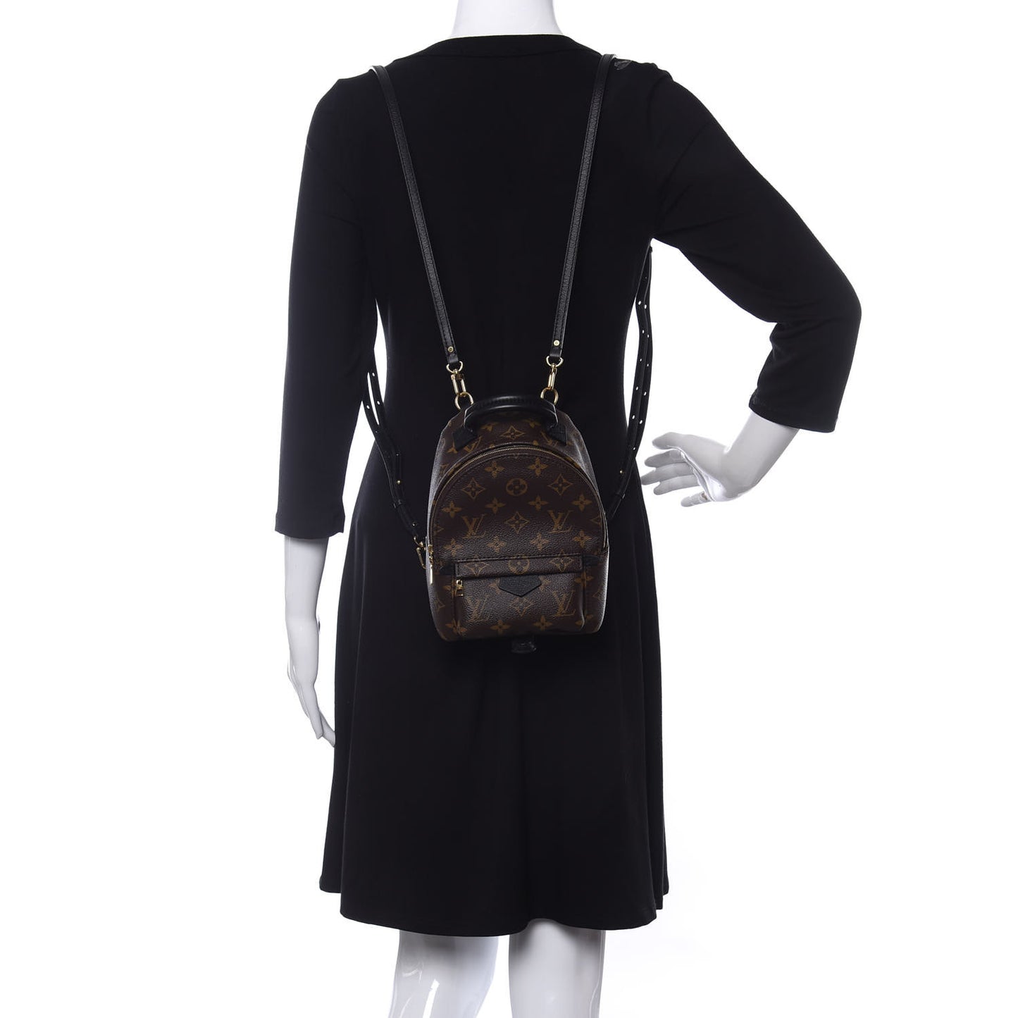 Monogram Palm Springs Backpack Mini