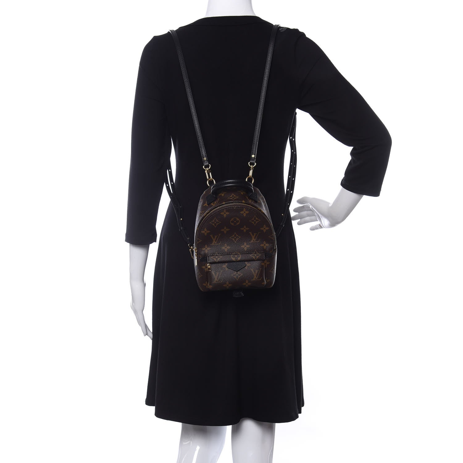 Louis Vuitton Monogram Palm Springs Backpack Mini 2 of 10