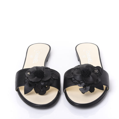 Chanel Lambskin Camellia Slides 37.5 Black 3 of 9
