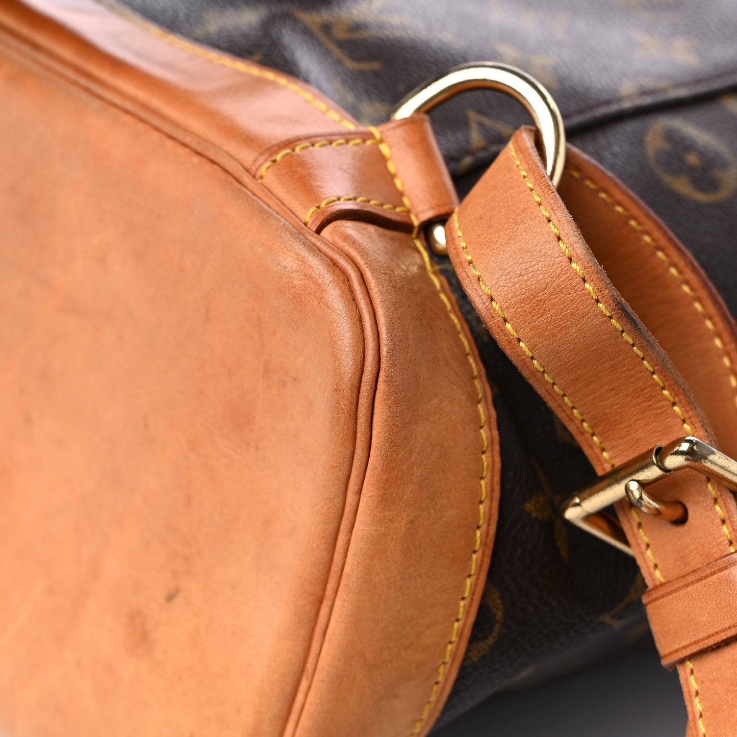 Monogram Montsouris GM Backpack