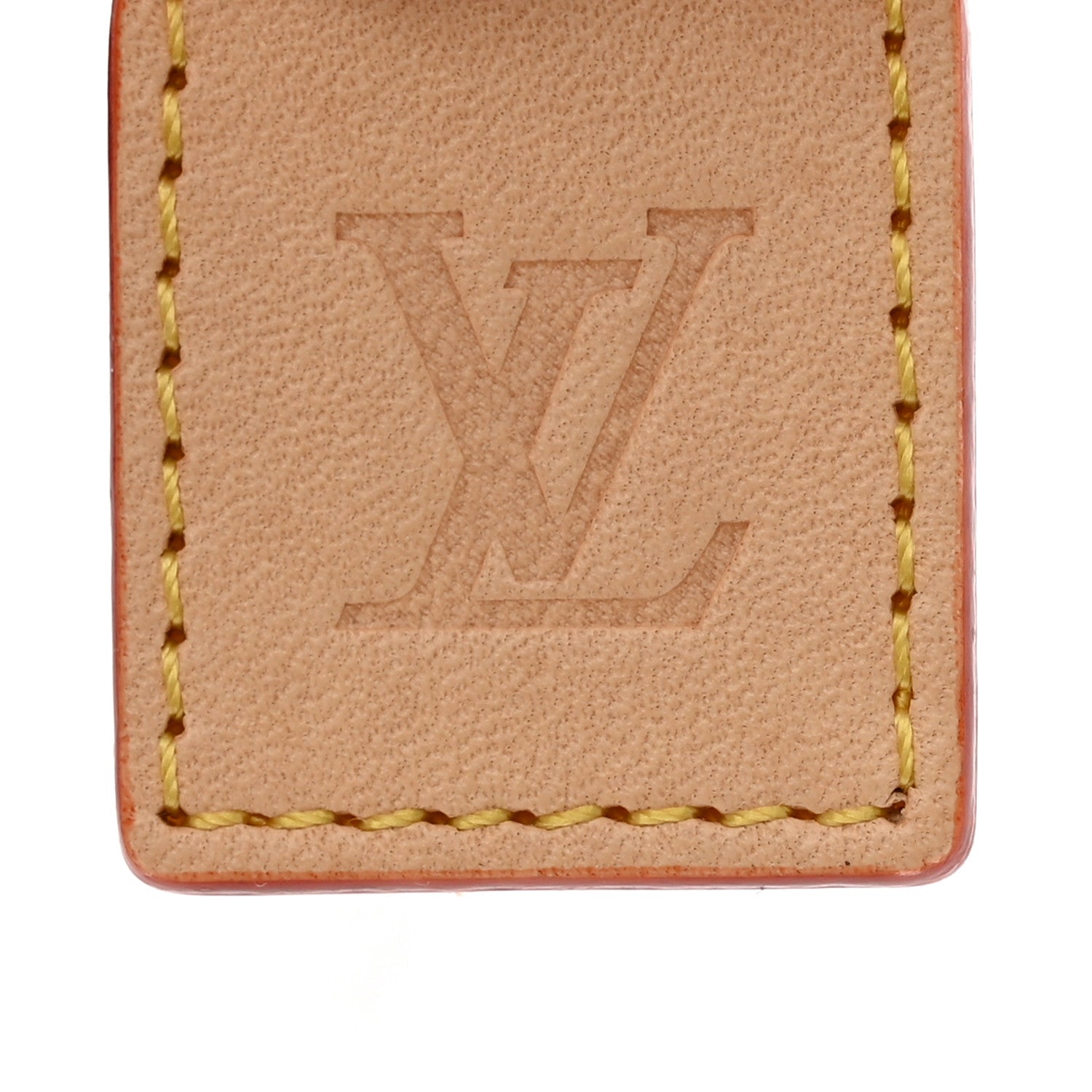 Louis Vuitton Monogram Baxter Dog Collar MM 8 of 8